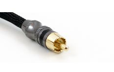 RCA coaxial