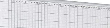 Planning 12 mois