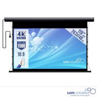 Ecran projection électrique 4K|UHD 119" 263x148 cm boîtier métal noir