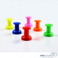 Punaises Jumbo magnétiques mixtes 6 pcs.