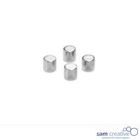 Aimants cylindre en acier inoxydable (4 pcs)
